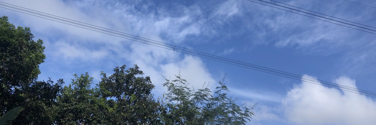 tutuptapperwer_'s profile banner image