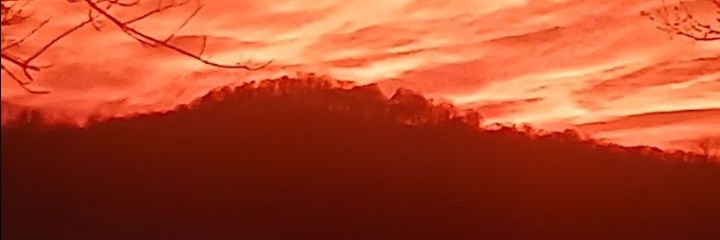 Emily Walters banner