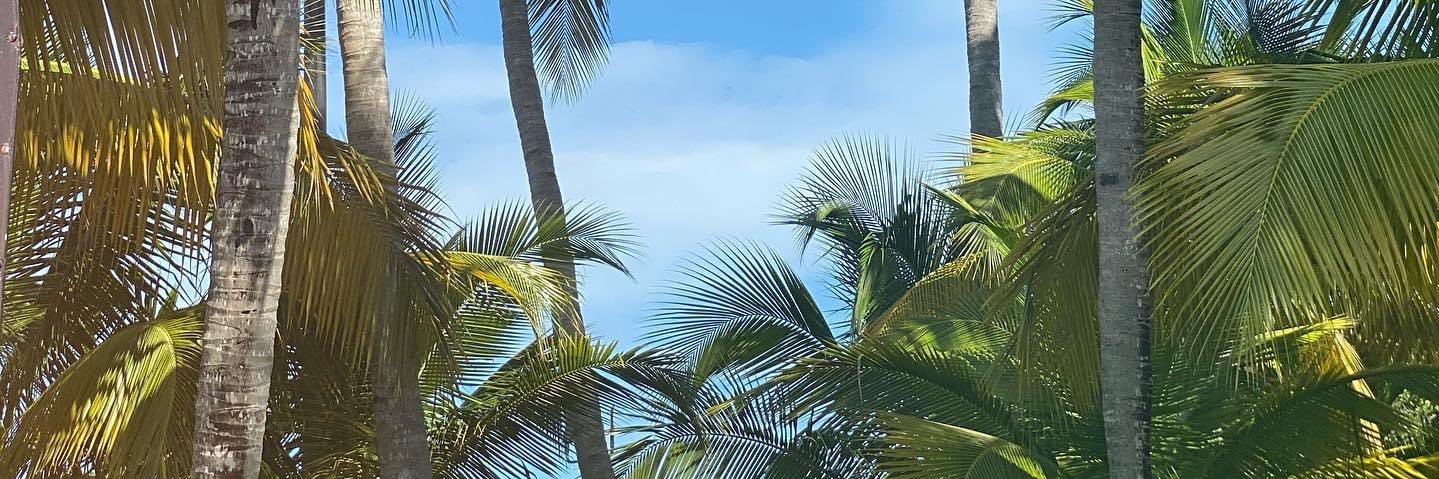 pieragaribaldi banner