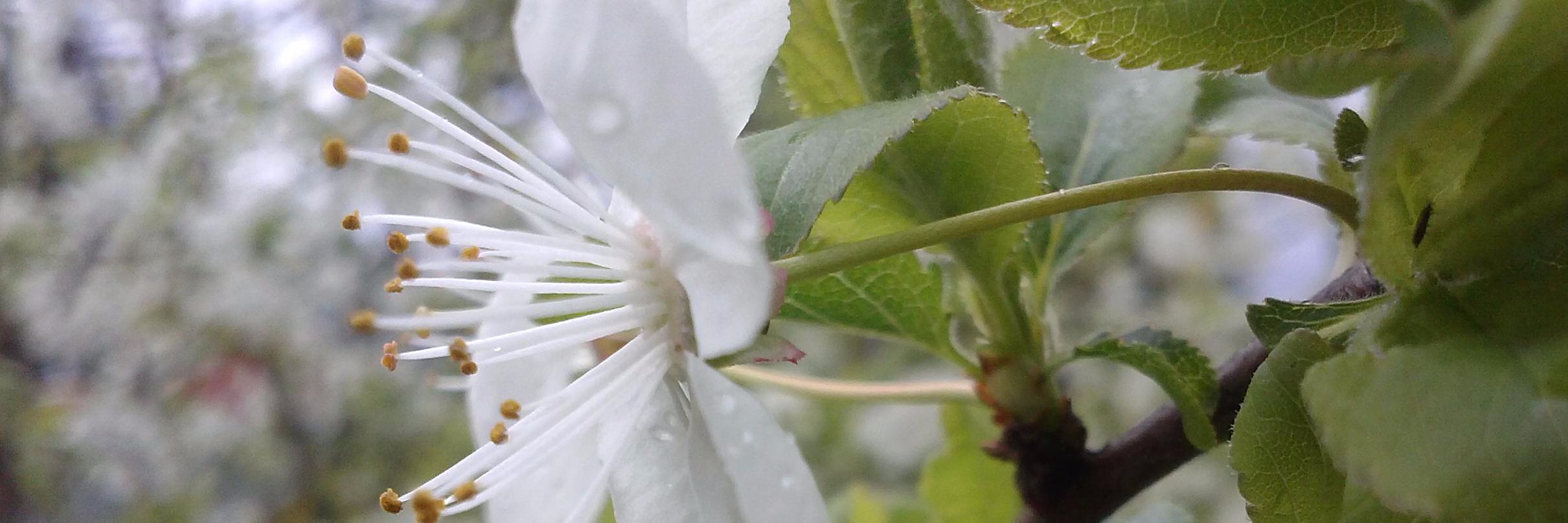 highly motivated banner