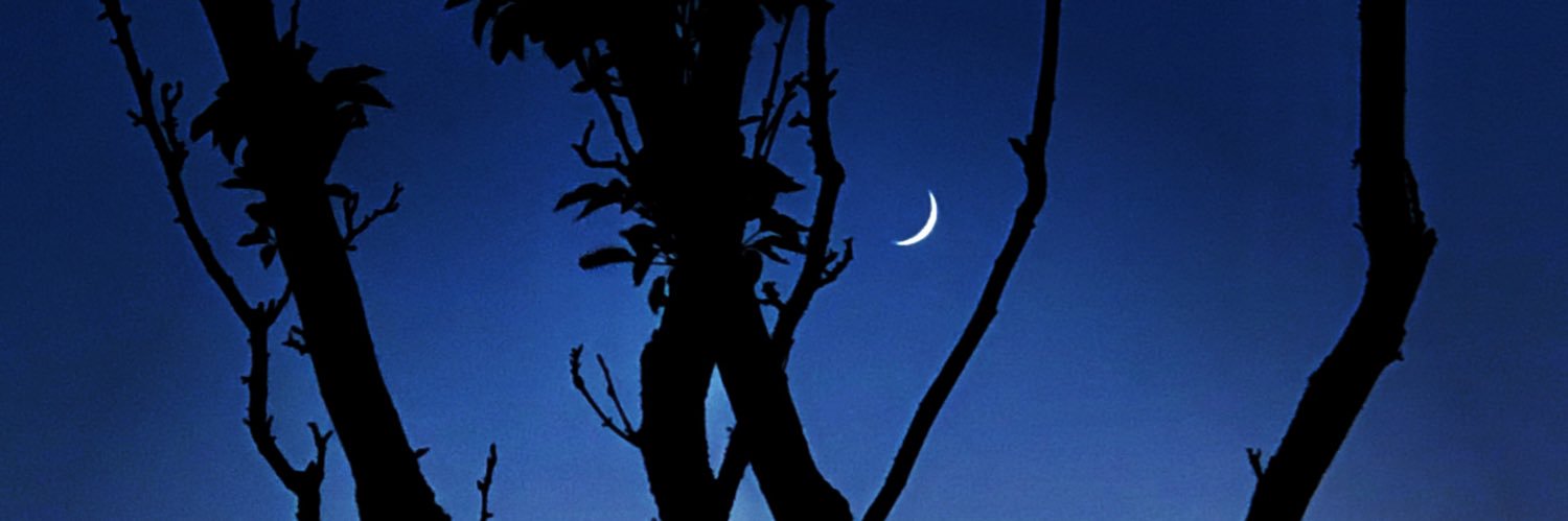 Chandra Elango banner