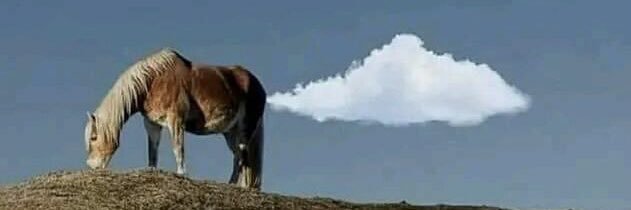 Paladin_jacob banner