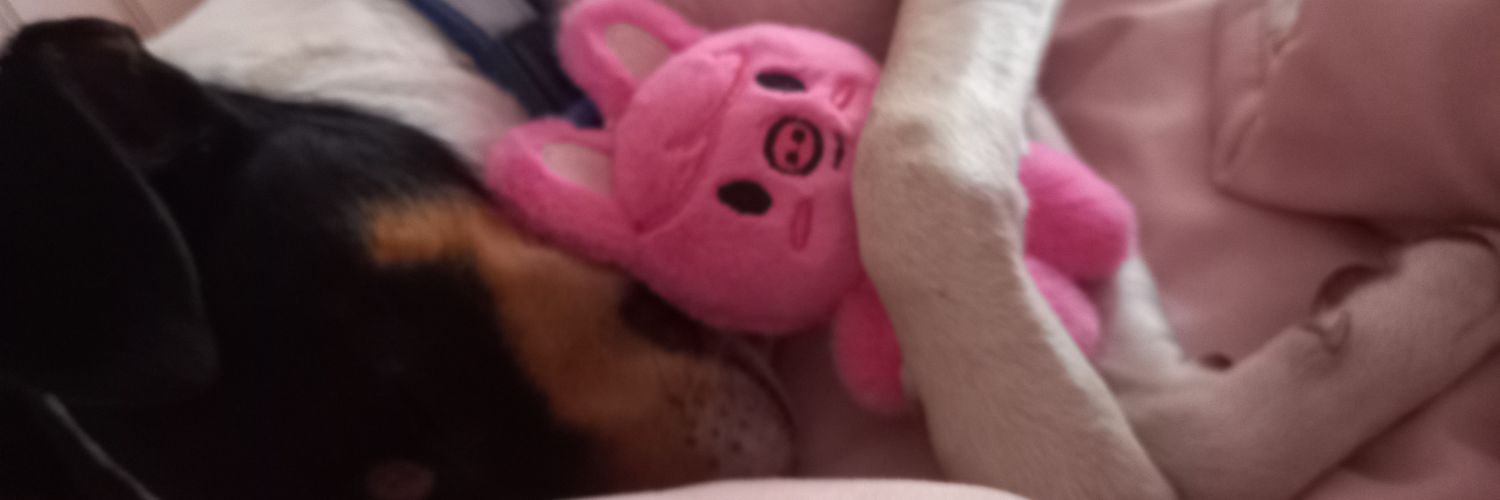 PrtyG1rlSB's profile banner image