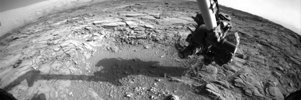 Daniel Neville banner