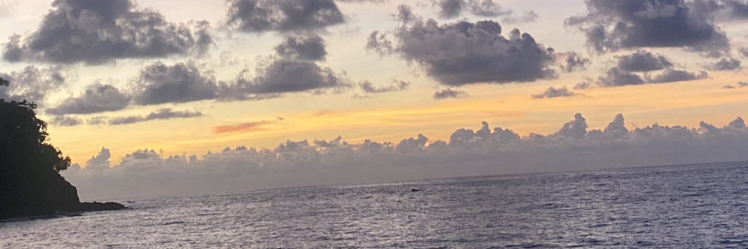 MigueDuran99's profile banner image