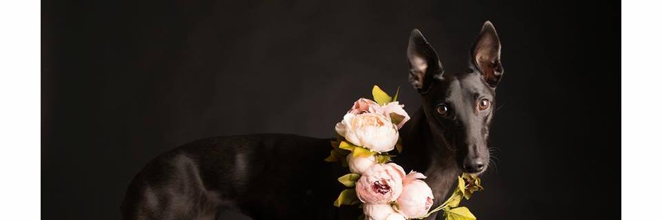Ceeb_ee's profile banner image