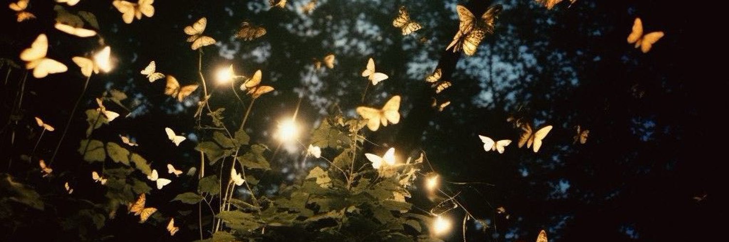 lljii8's profile banner image