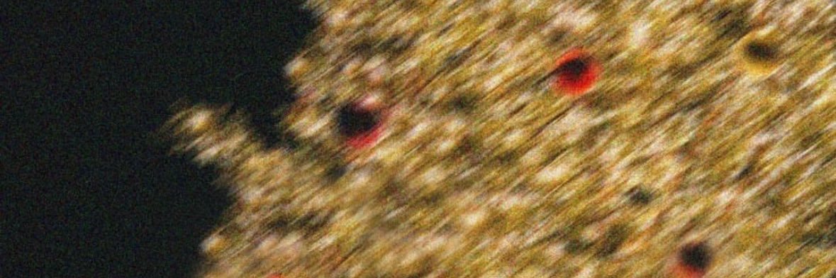 yam24477's profile banner image