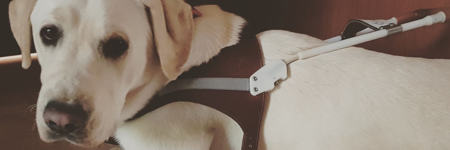 SeptJoy's profile banner image