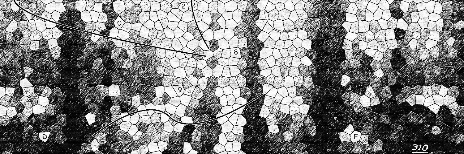 sennmac's profile banner image