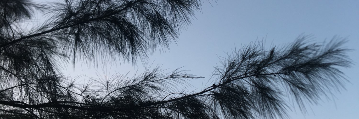 PechayNaPizza's profile banner image