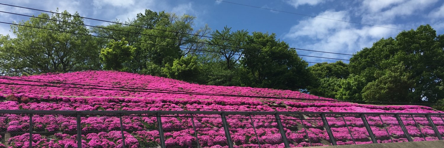 ahaheaho's profile banner image