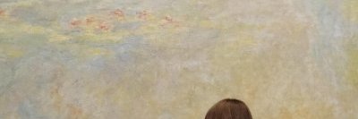 Zara banner