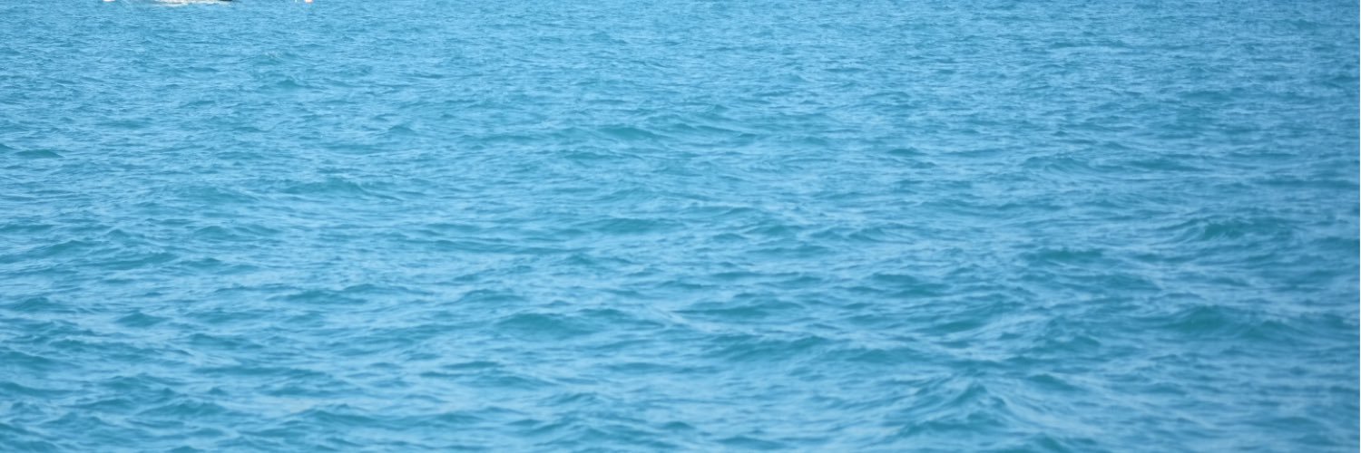 𝐍𝐀𝐒 banner