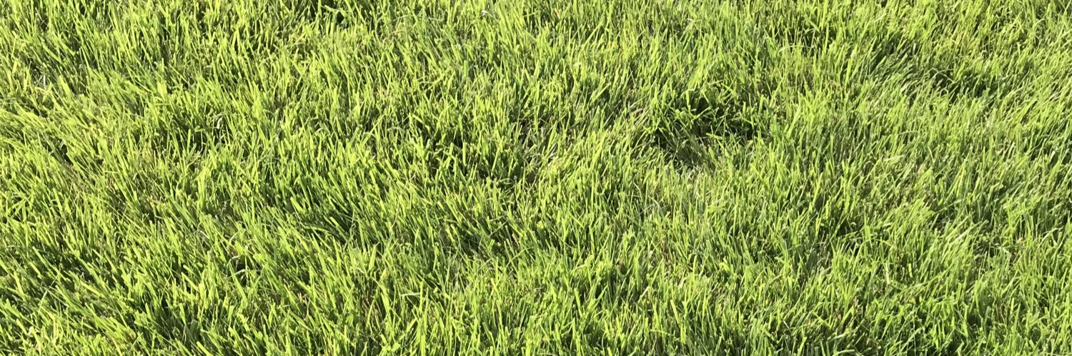 sbo_od's profile banner image