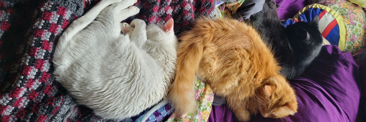 Cristina Van Epps banner