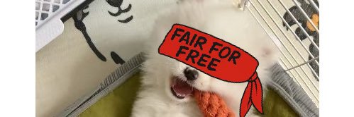 破碎的Q佬's banner