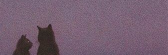 kiyoaw's profile banner image