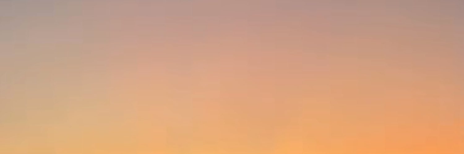 qselxo banner
