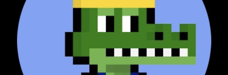 crypto-wizard banner