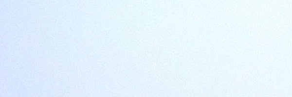 040830s2 Profile Banner