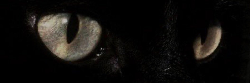 Shadow23 banner