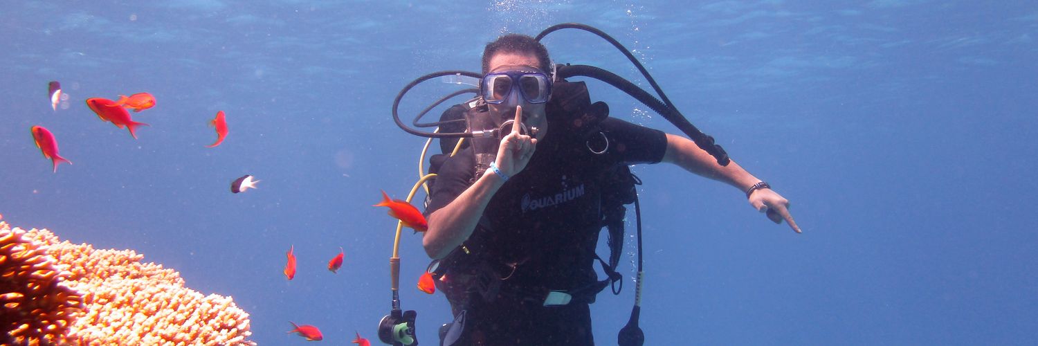 IbrMostafa333's profile banner image