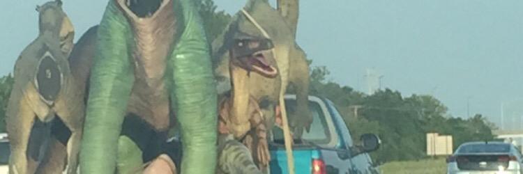 Cara Moore Lebonick banner