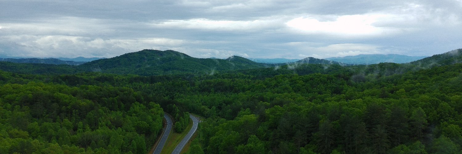 Cognitive Consonance banner