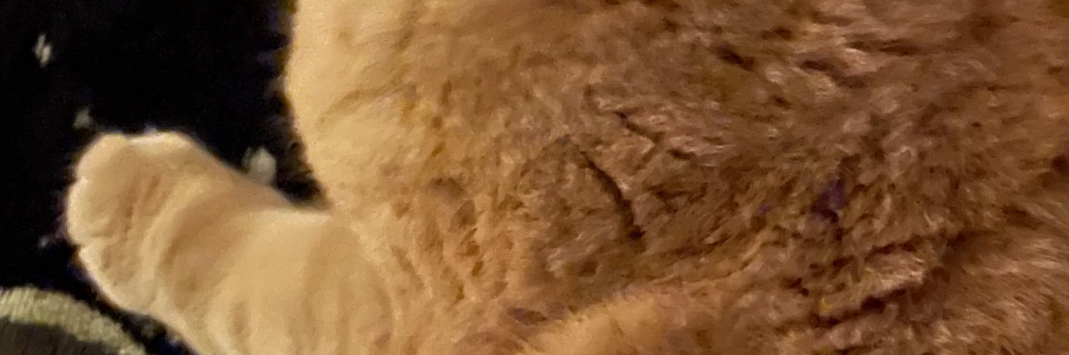 catterzozo's profile banner image