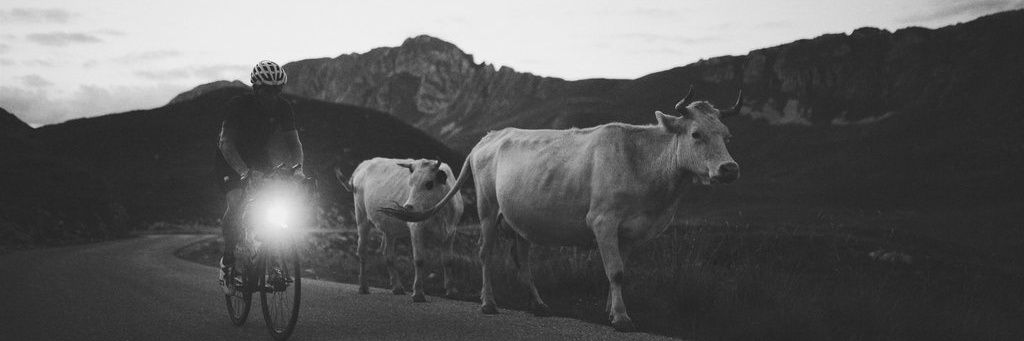 allegaert kristof banner