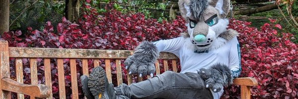 CosmicTheHusky Profile Banner