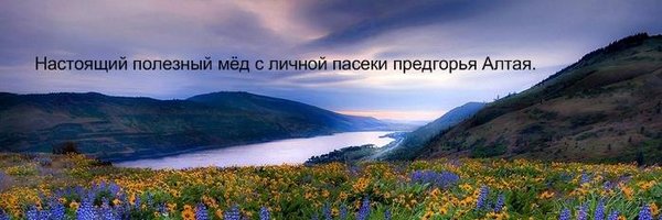 seokick Profile Banner