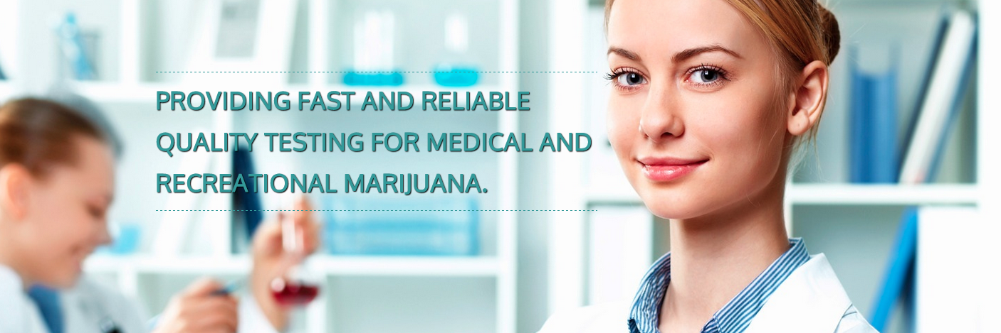 THCLabs's profile banner image