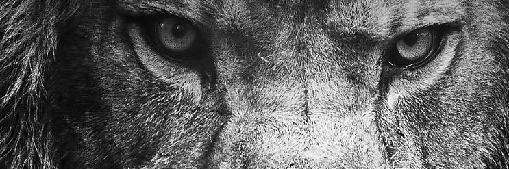 TruthIQ22's profile banner image