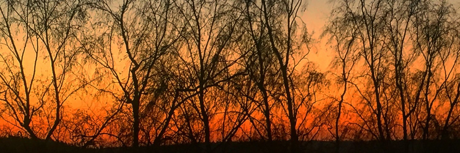 Robbanoff's profile banner image