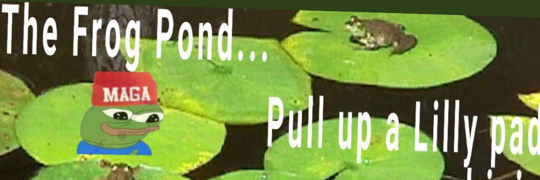 Vegas Frog🎙️ banner