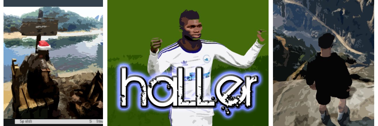 haLLer banner