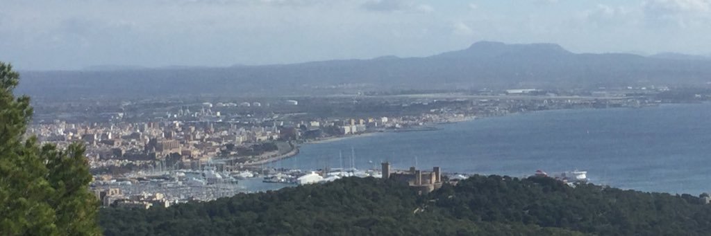 Gabriel Torrens banner