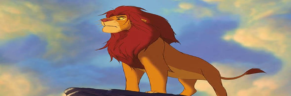 Simba banner