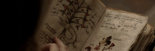 briarspell Profile Banner