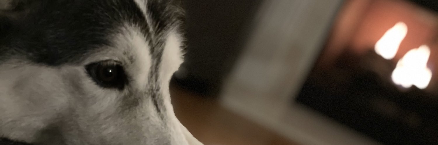 LeviDenimFlow's profile banner image