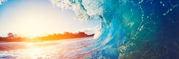 EconomistMartin Profile Banner