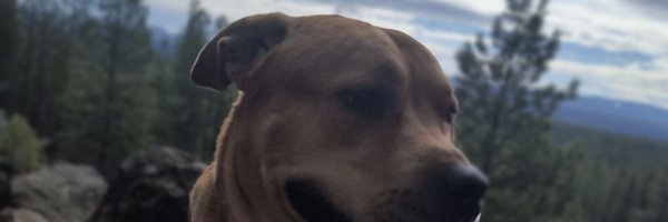 JontentG Profile Banner