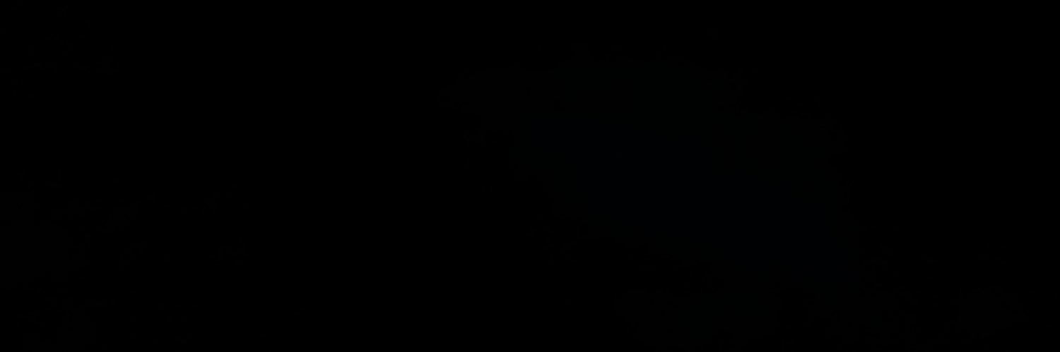EWAN2004T's profile banner image