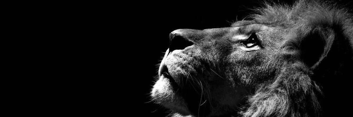 dgifro's profile banner image