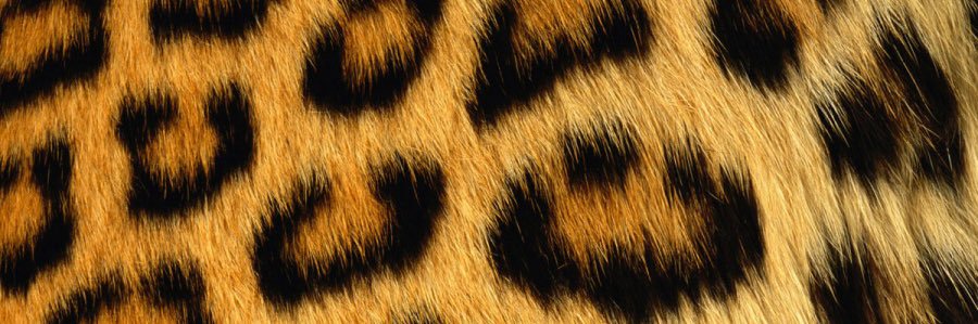 stefventrone's profile banner image