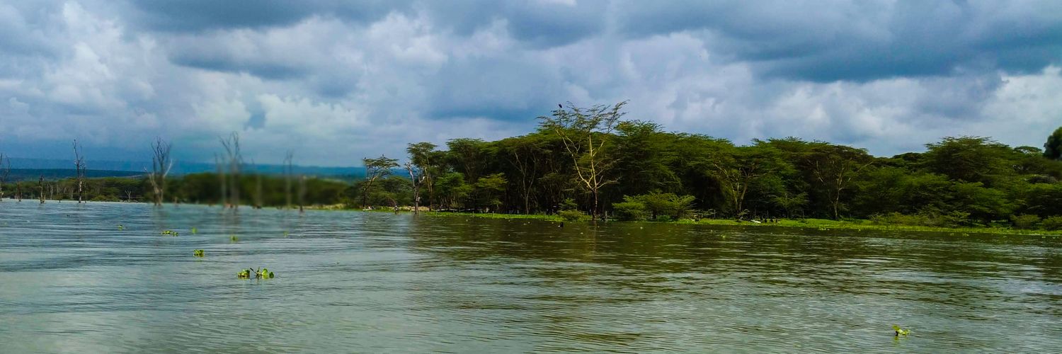 SoniKinyanjui's profile banner image