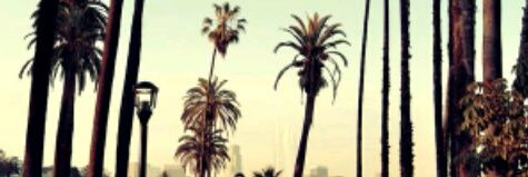 Fadhliarani's profile banner image