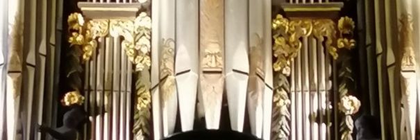 paulrosoman's profile banner image